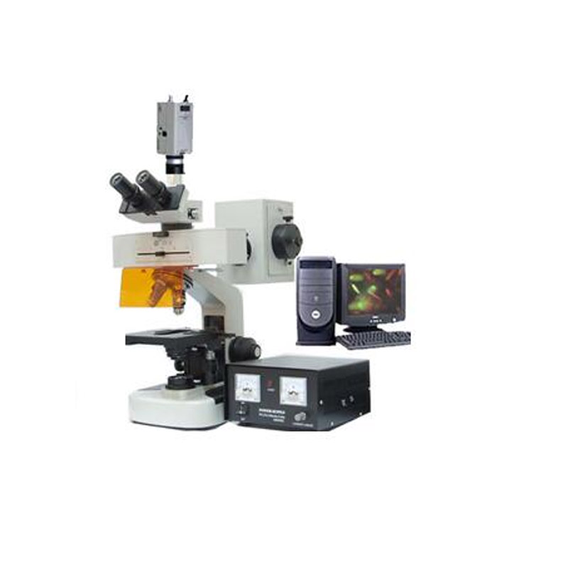 研究型荧光显微镜BFM-100系列